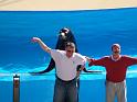 Sea World-31